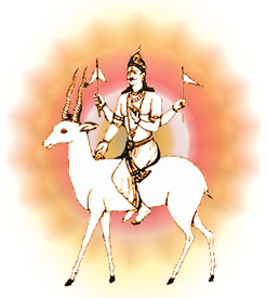 GOD  vayu WIND OF  VAYU kurma