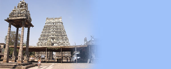 Kalyana Varadharaja (Tamil Nadu) Hindu Temples