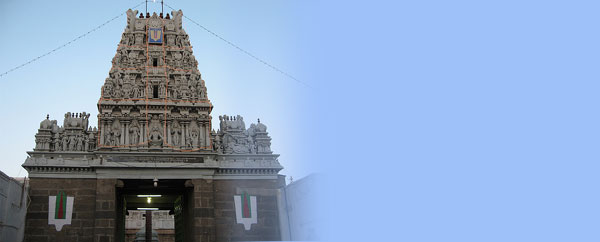 Parthasarathy Temple (Tamil Nadu) Hindu Temples