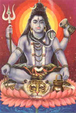 Shiva 