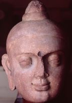 Buddha head