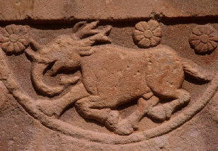 Composite creature, Stupa II.