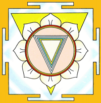 Shri Neel Saraswati Yantra